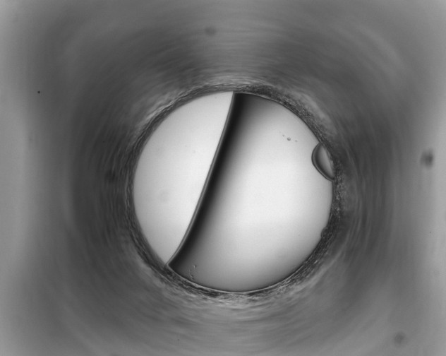 X0000099290024200805020743