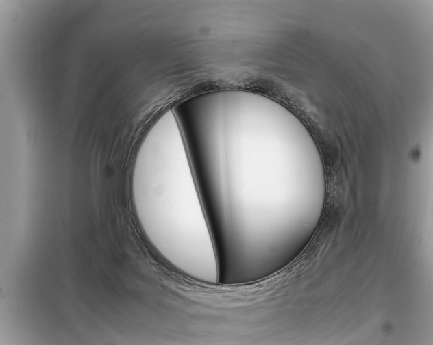 X0000099290027200805020743