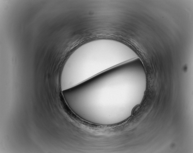 X0000099290028200805020743