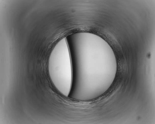 X0000099290032200805020743