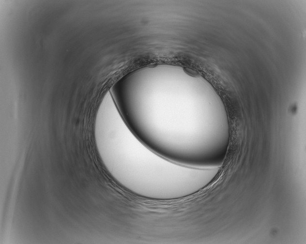 X0000099290033200805020743