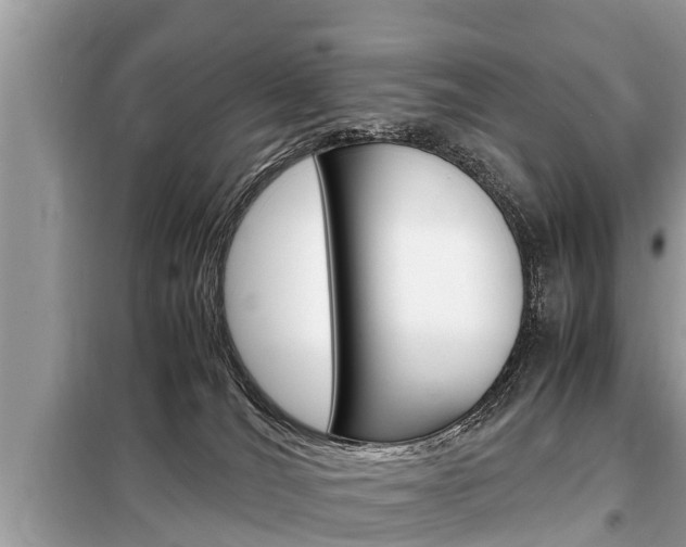 X0000099290036200805020743