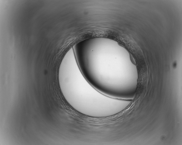 X0000099290041200805020743