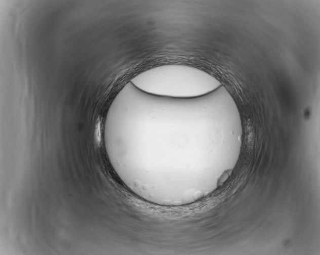 X0000099290042200805020743