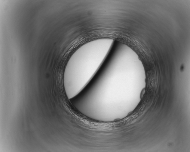 X0000099290044200805020743