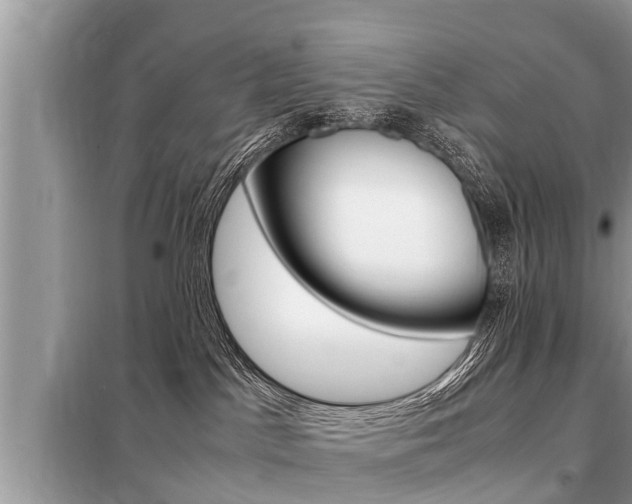 X0000099290045200805020743