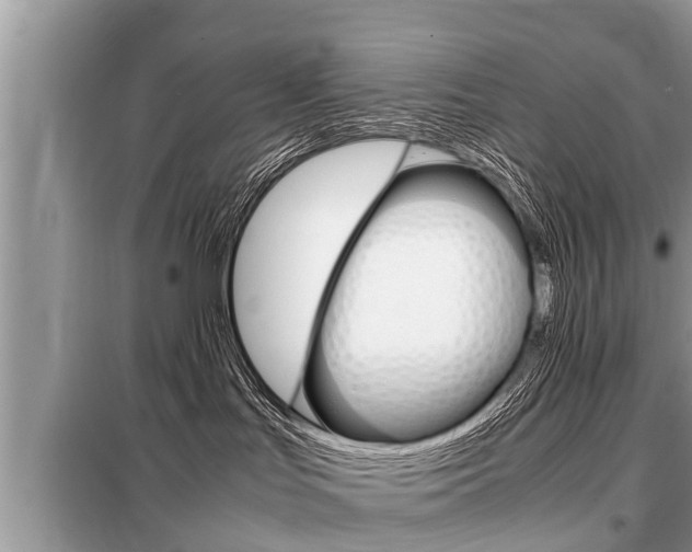 X0000099290047200805020743