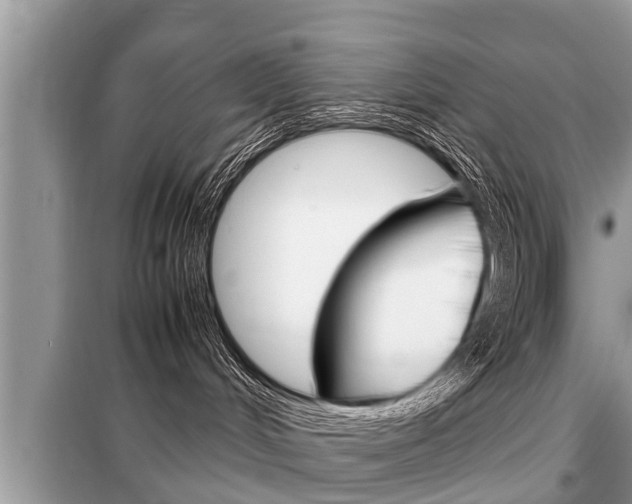 X0000099290048200805020743