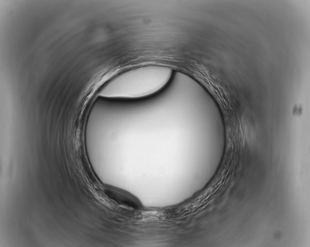 X0000099290050200805020742