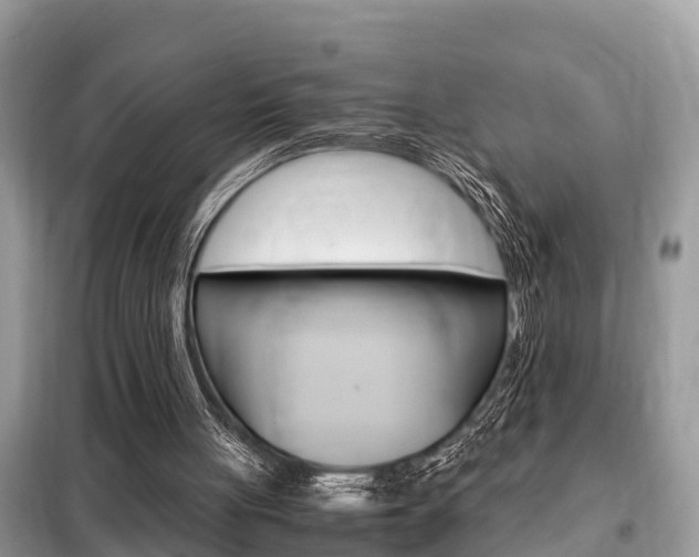 X0000099290051200805020742