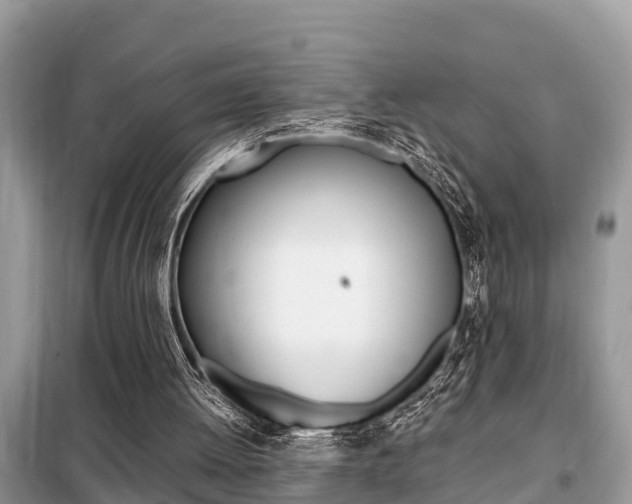 X0000099290052200805020742