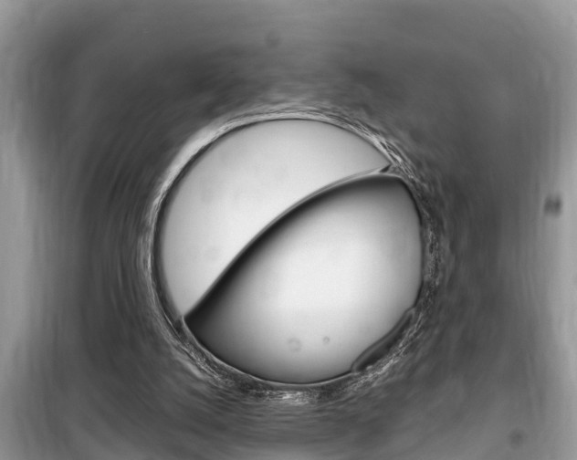 X0000099290056200805020742