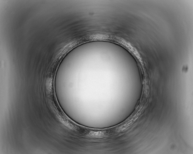 X0000099290057200805020742