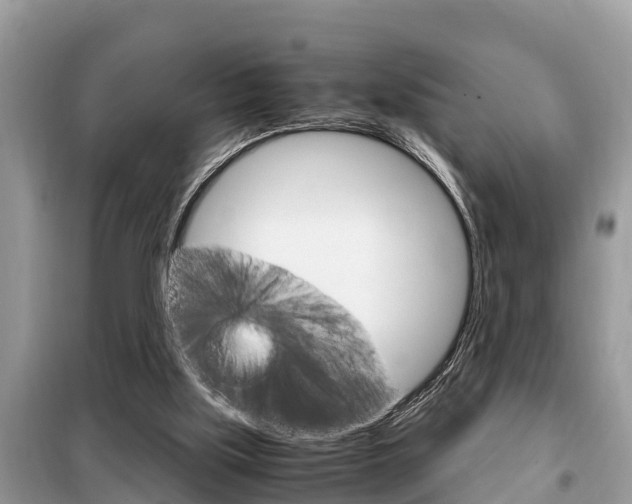 X0000099290059200805020742