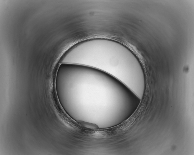 X0000099290060200805020742