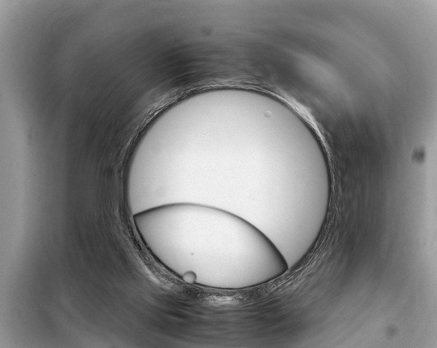 X0000099290061200805020743
