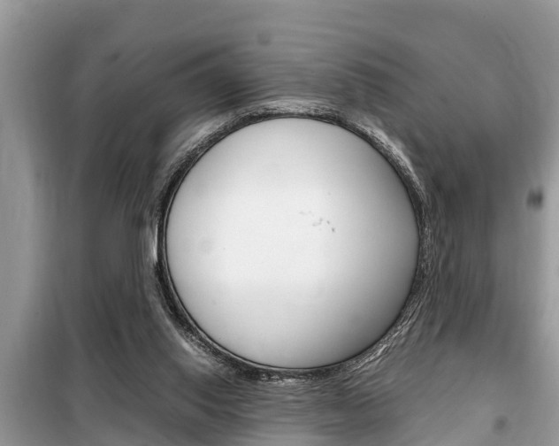 X0000099290062200805020743