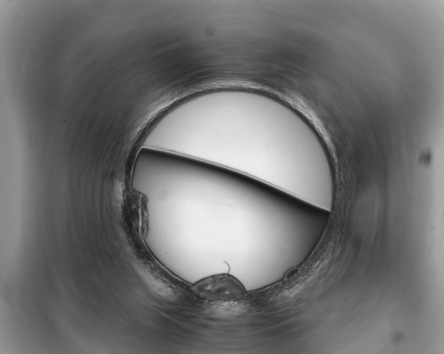X0000099290063200805020743