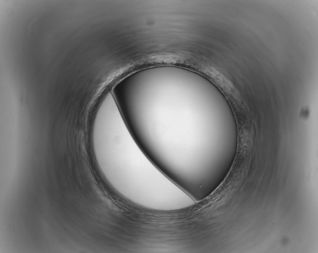 X0000099290064200805020743