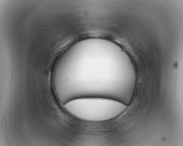 X0000099290066200805020743