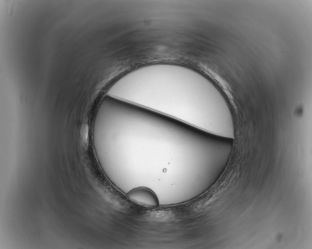 X0000099290067200805020743