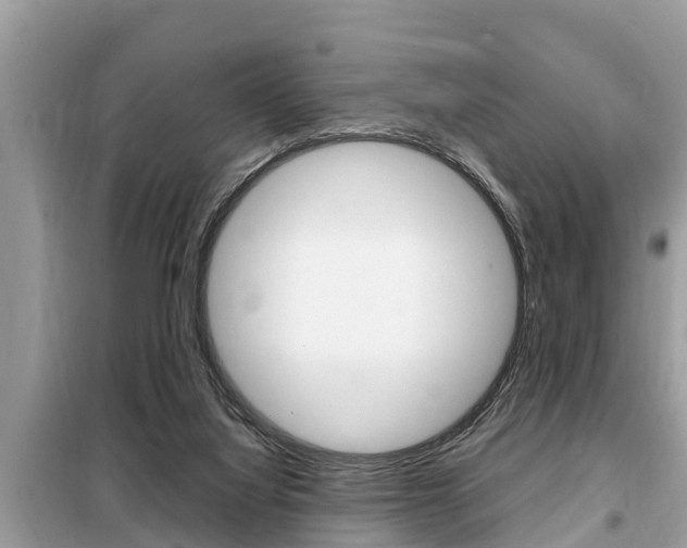 X0000099290068200805020743