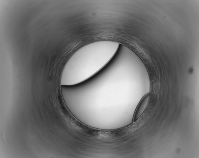 X0000099290070200805020743