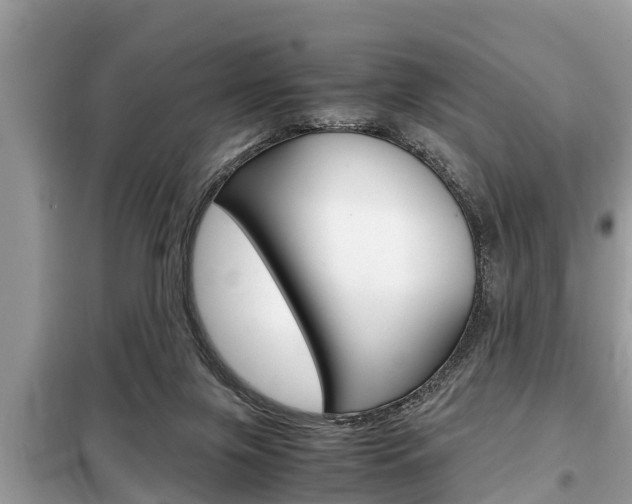X0000099290071200805020743