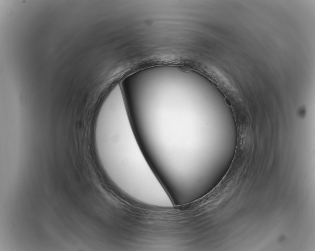 X0000099290072200805020743