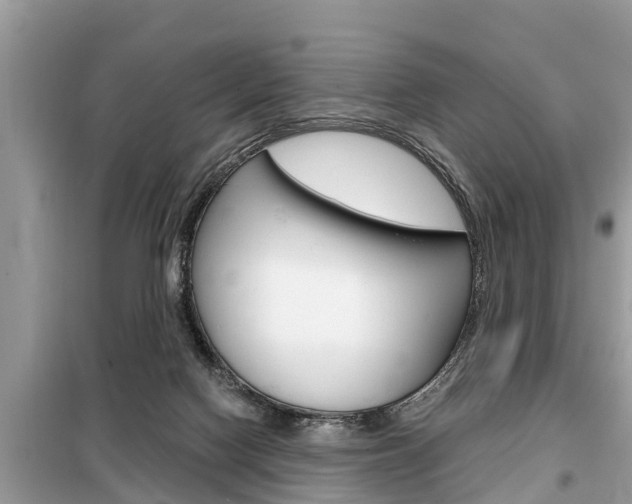 X0000099290074200805020743