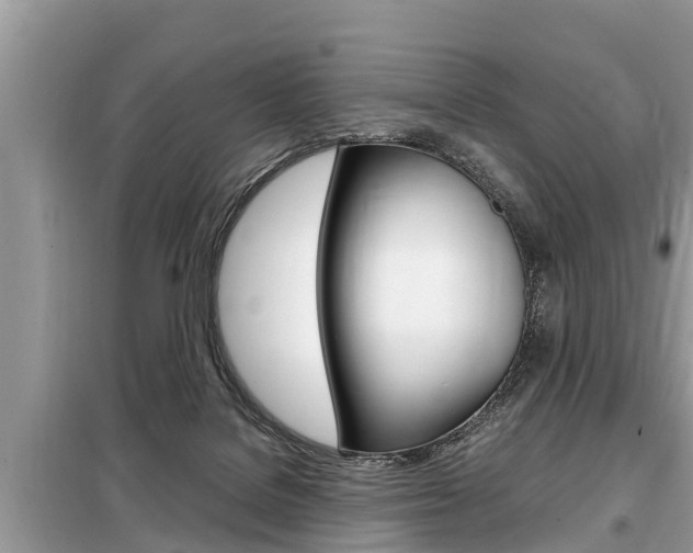 X0000099290076200805020743