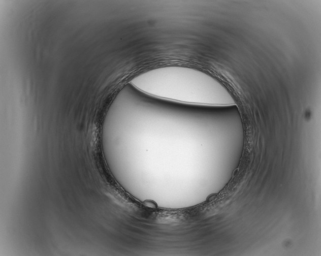 X0000099290077200805020743