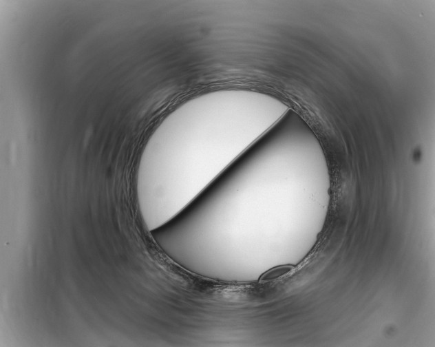 X0000099290078200805020743