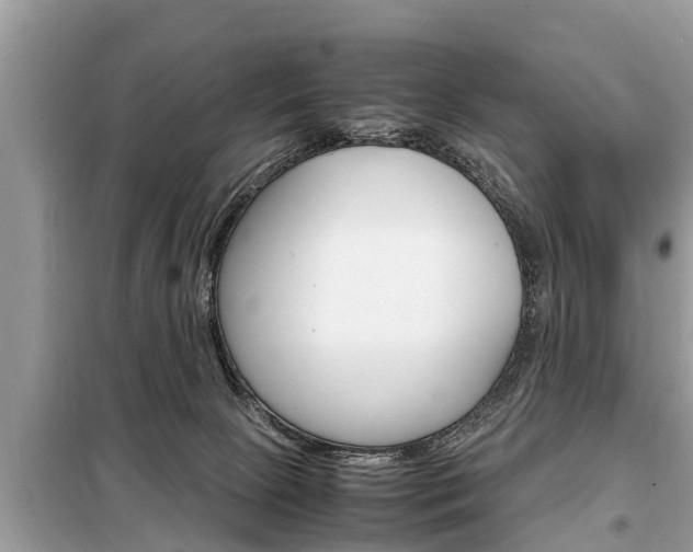 X0000099290081200805020743