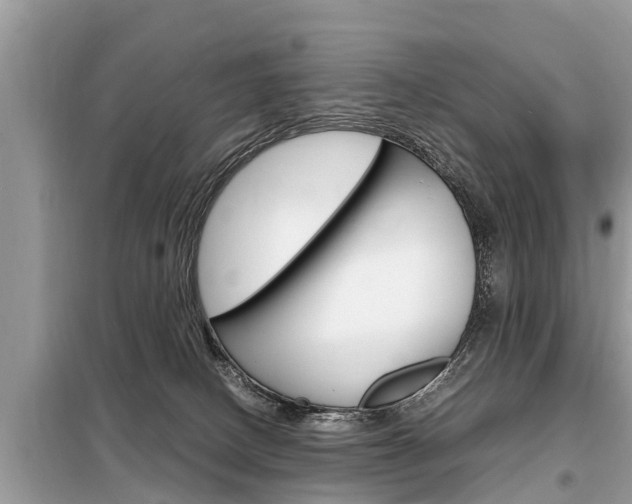 X0000099290082200805020743