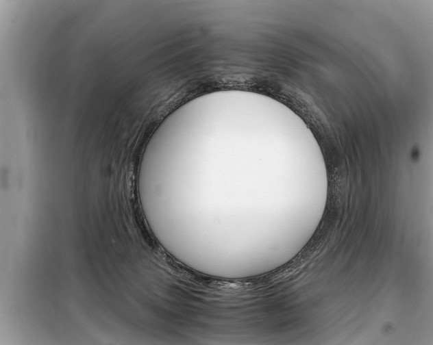 X0000099290083200805020743