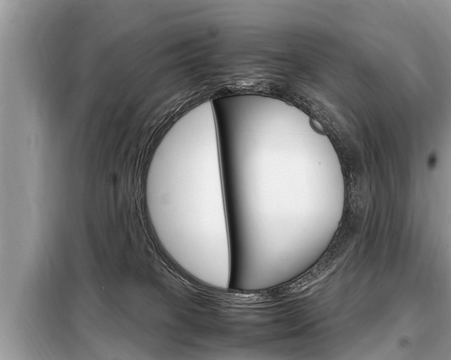 X0000099290085200805020743