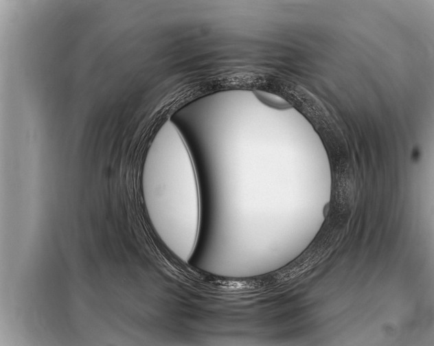 X0000099290091200805020743