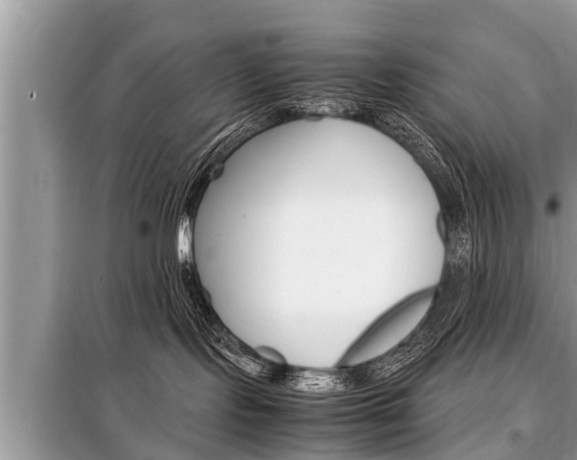 X0000099290095200805020743