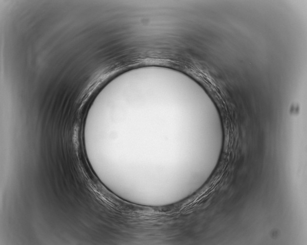 X0000099290098200805020742