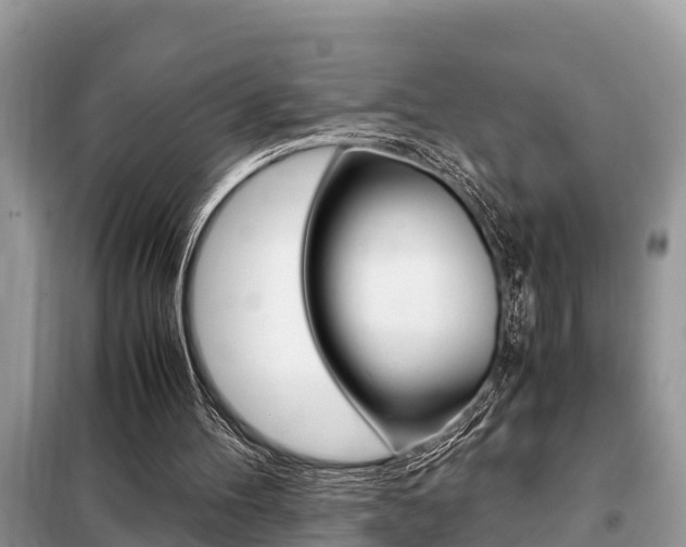 X0000099290100200805020742