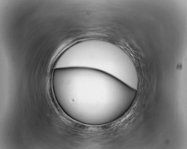 X0000099290101200805020742