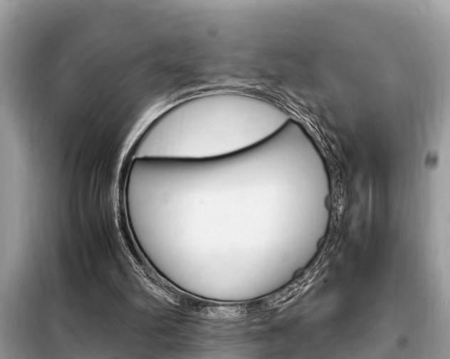 X0000099290102200805020742