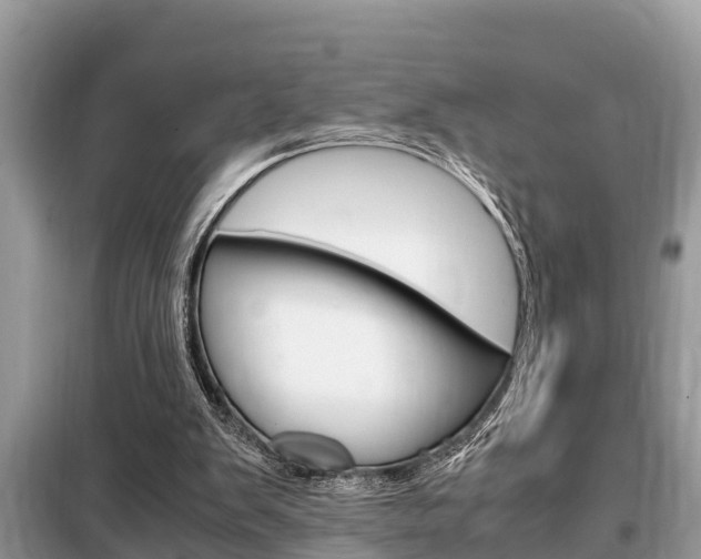X0000099290103200805020742