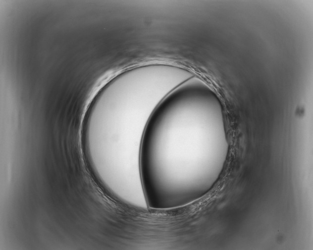 X0000099290104200805020742