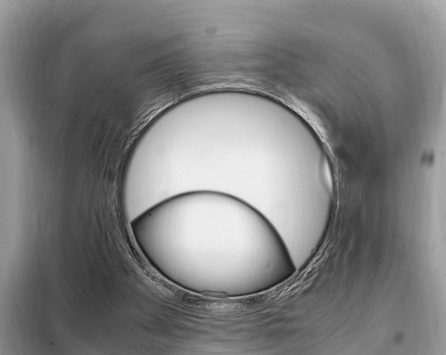 X0000099290105200805020742