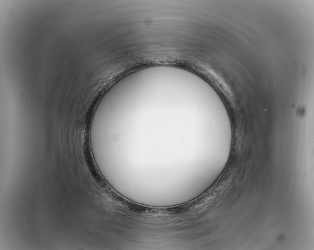X0000099290113200805020742