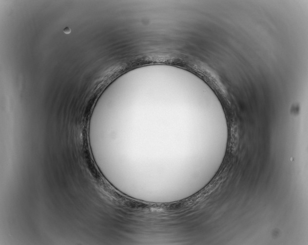 X0000099290114200805020742