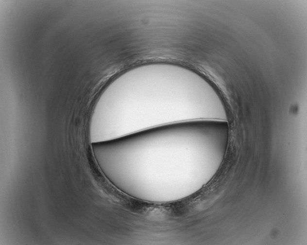 X0000099290115200805020742