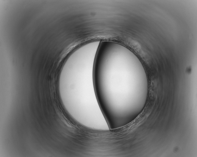 X0000099290116200805020742